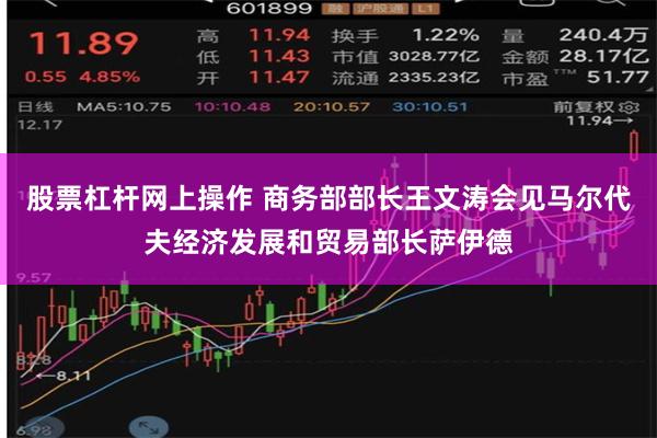 股票杠杆网上操作 商务部部长王文涛会见马尔代夫经济发展和贸易部长萨伊德