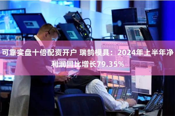 可靠实盘十倍配资开户 瑞鹄模具：2024年上半年净利润同比增长79.35%