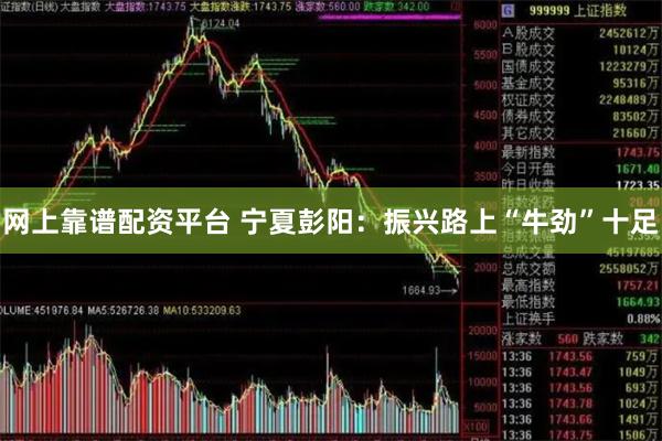 网上靠谱配资平台 宁夏彭阳：振兴路上“牛劲”十足