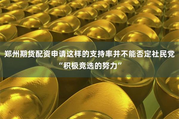 郑州期货配资申请这样的支持率并不能否定社民党“积极竞选的努力”