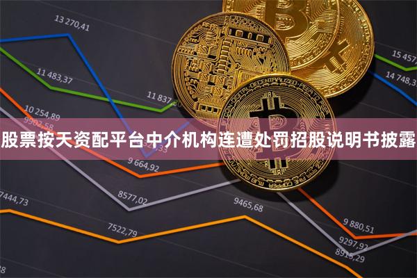 股票按天资配平台中介机构连遭处罚招股说明书披露